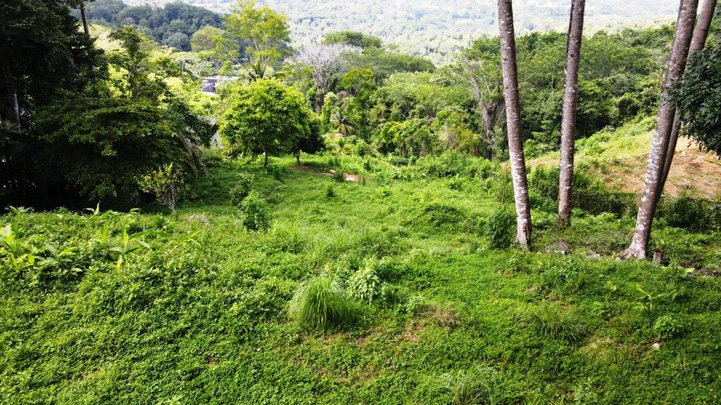 Gorgeous 1.43 Acres in Uvita Costa Rica Your Slice of Paradise Awaits