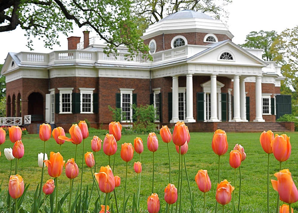 Glorious Gardens