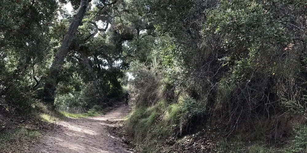 Hit The Trails In Laguna Hills