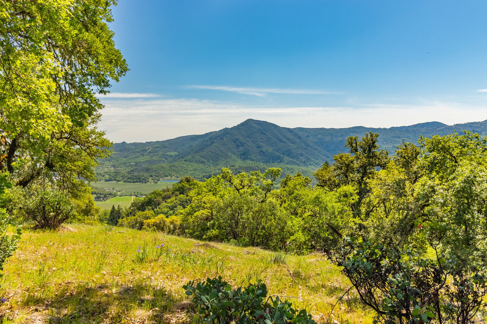 2800 Feliz Creek Rd.