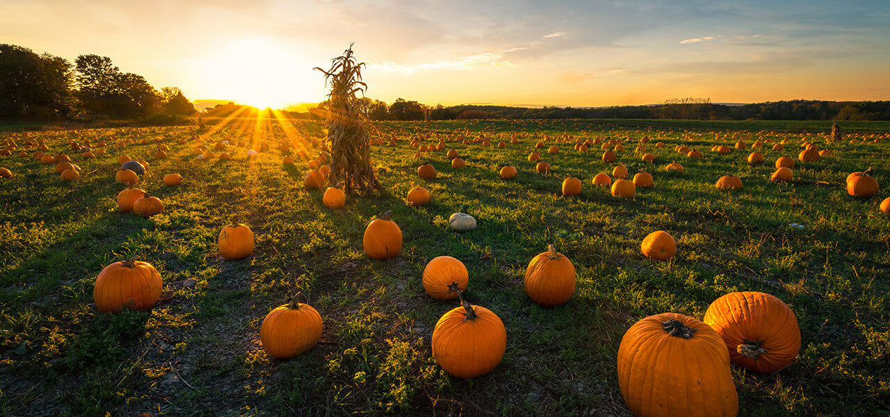 Spooky Family Fun for October
