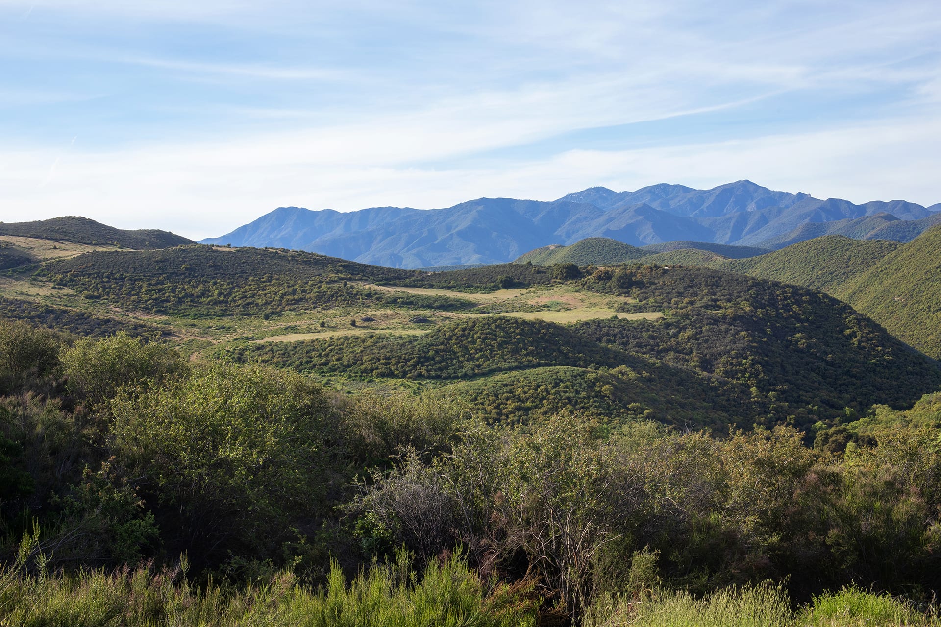 Valley Viewscape - 42513 Carmel Valley Road