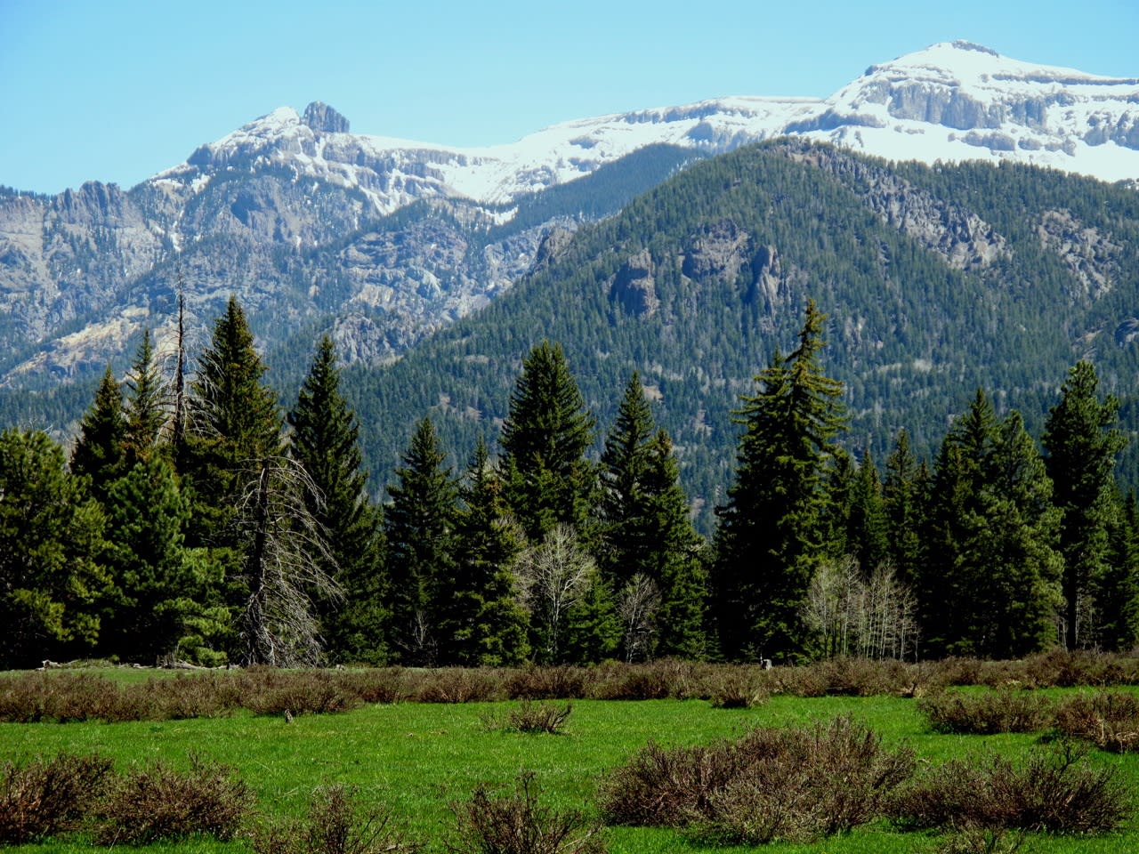 Southern Colorado Riverfront Mountain Ranch