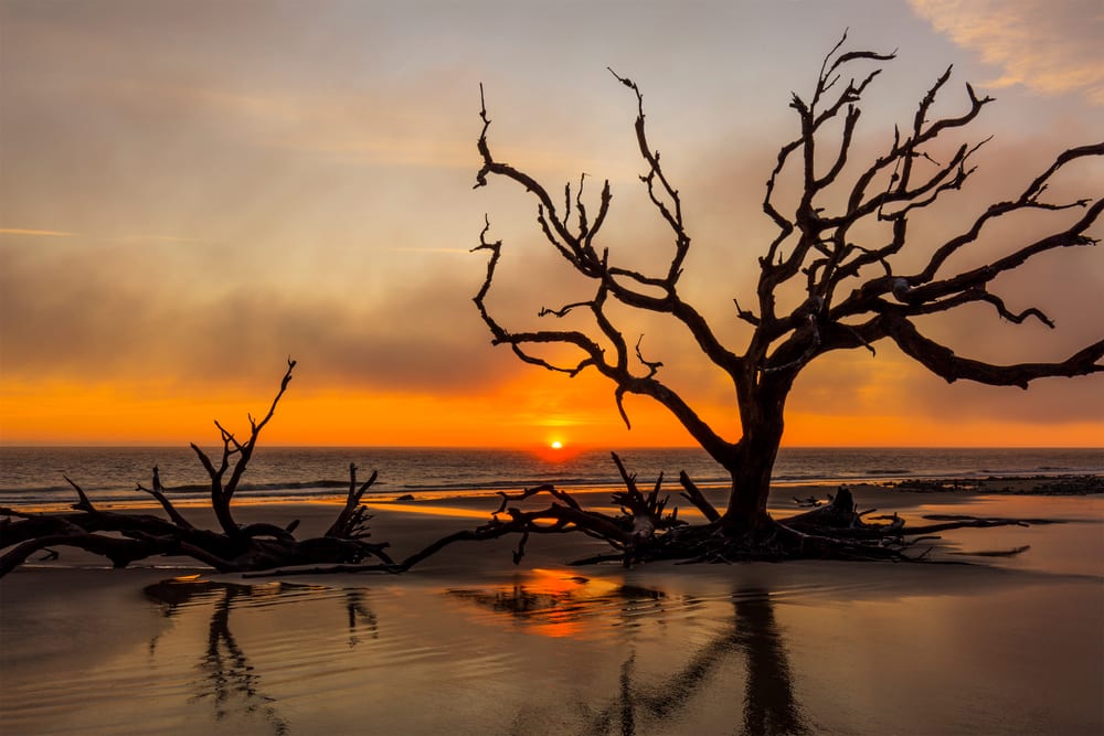 Jekyll Island