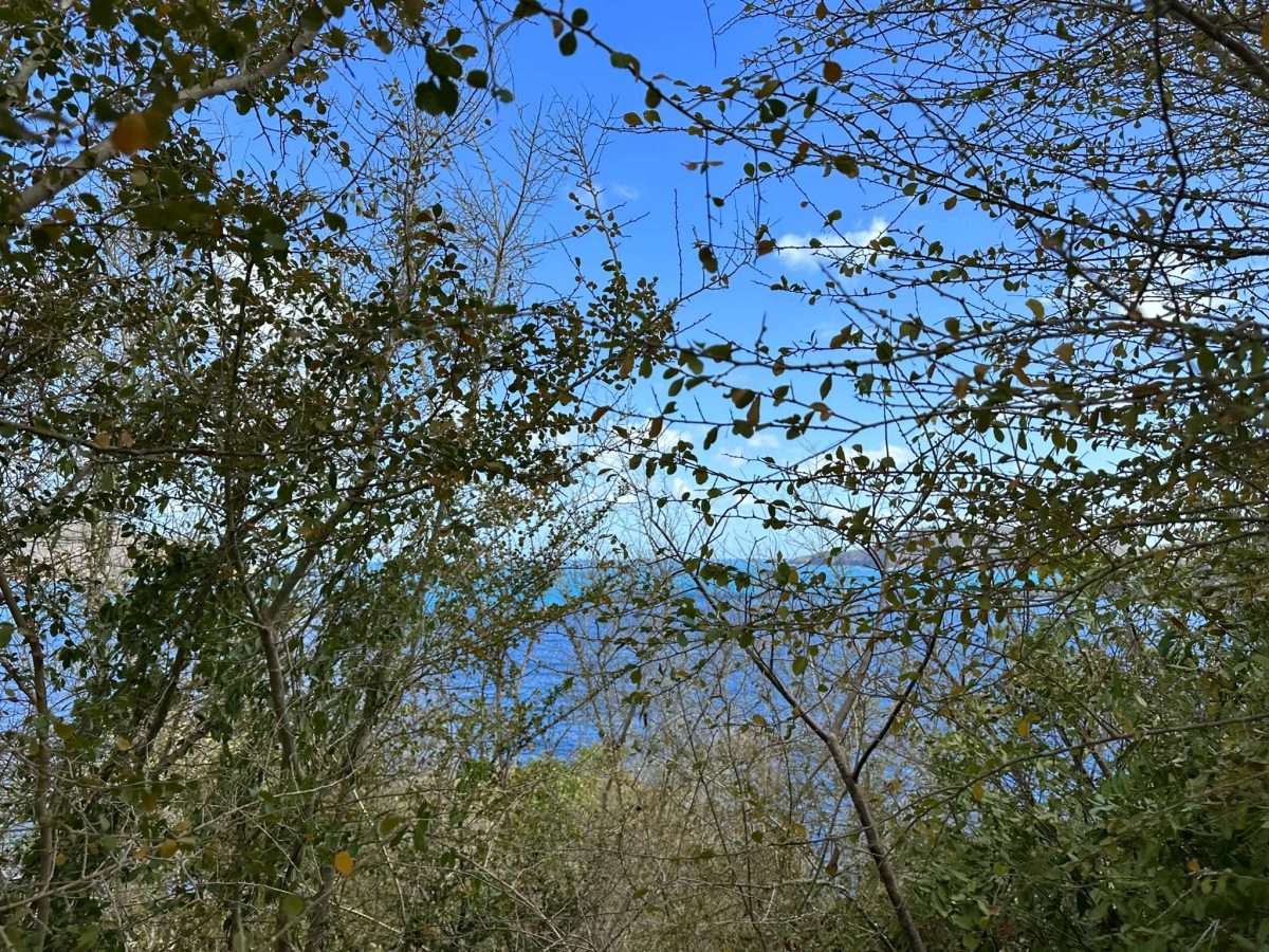 773 0.697 Acres Little Mountain