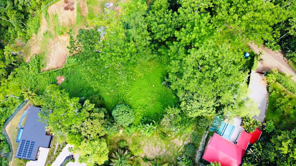 Gorgeous 1.43 Acres in Uvita Costa Rica Your Slice of Paradise Awaits