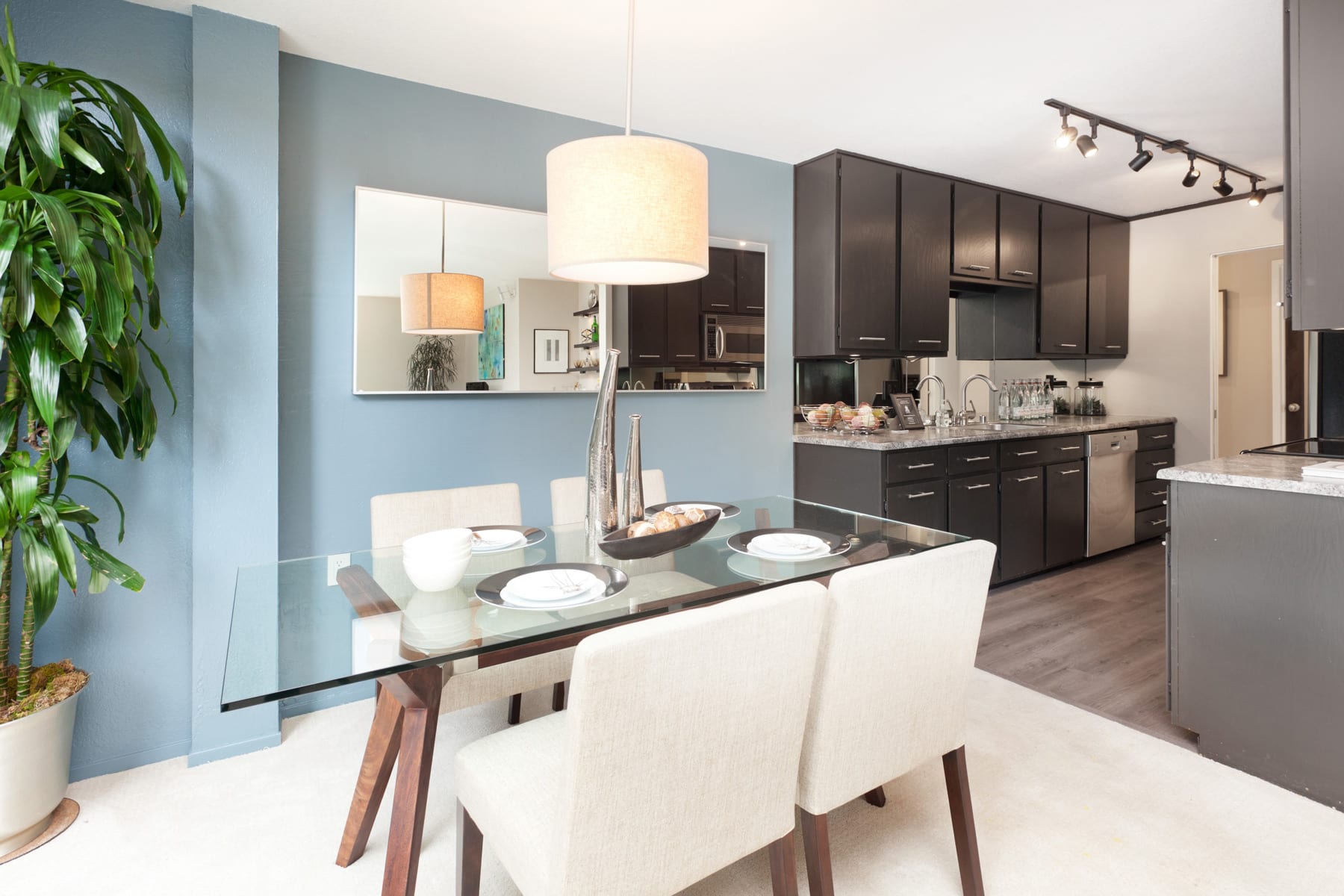 1000 Franklin Street, Unit 206