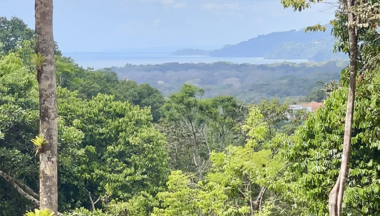UVITA, Gated Community, Oceanview Land for Sale Ready to Build! Lot 33