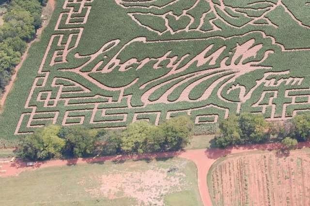 Our Top 10 Fall Festivals