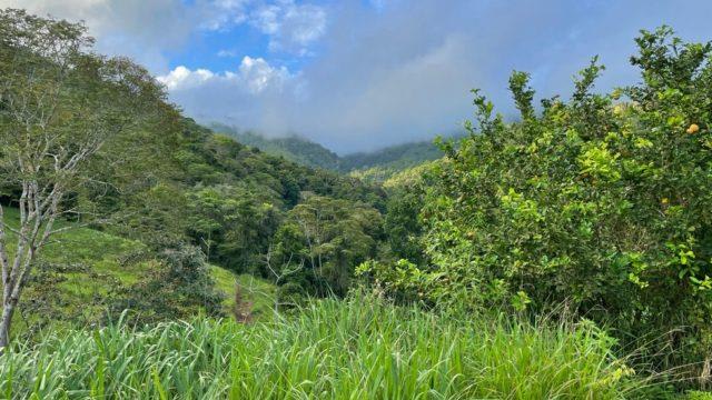 Riverfront Ranch Above Uvita With Waterfalls, and Ocean Views