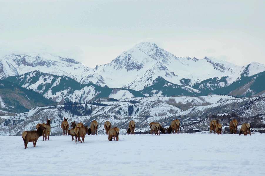 Winter In Aspen 2017-18