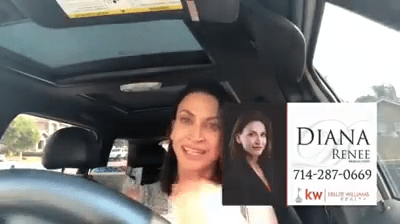 In the Driver seat | Who pays for Termite Repair?