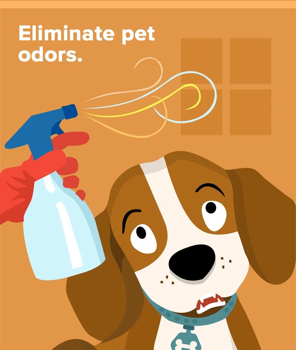 Illustration of a dog being sprayed with cleaner beneath “Eliminate pet odors.”