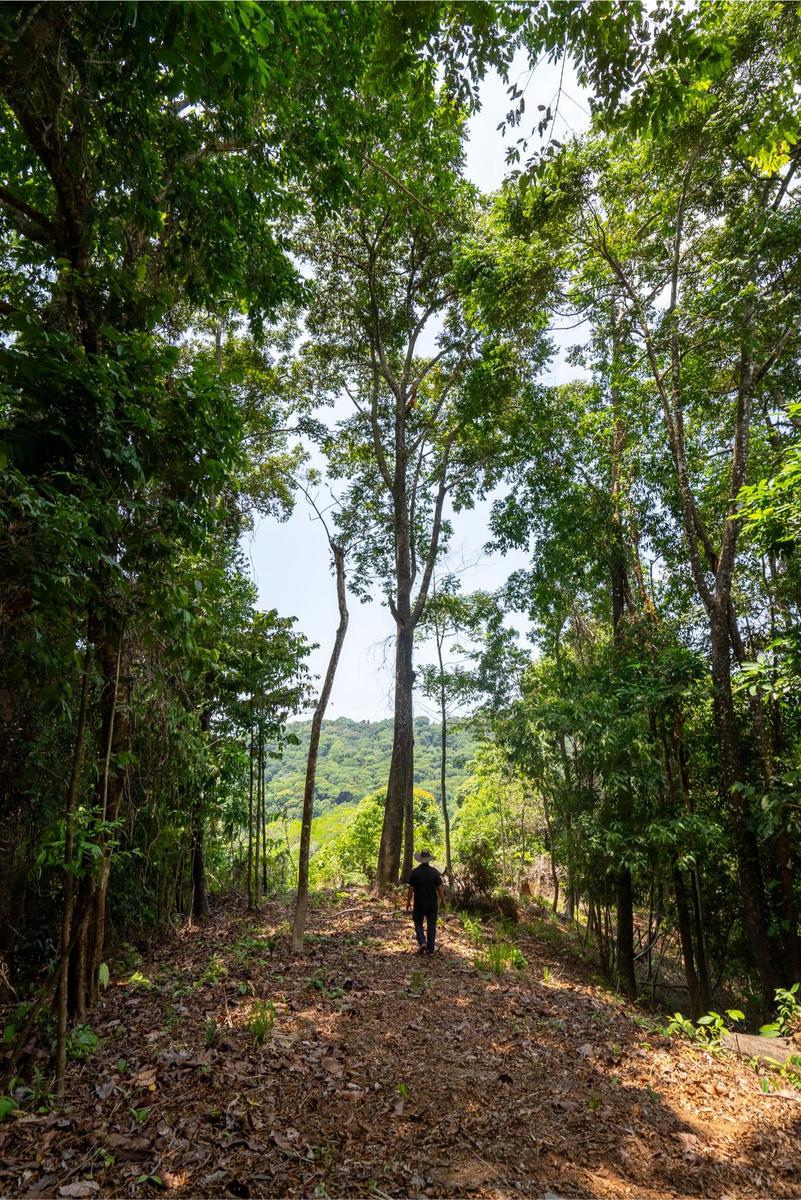 Private Ocean View Development Lot, Dominical, Puntarenas