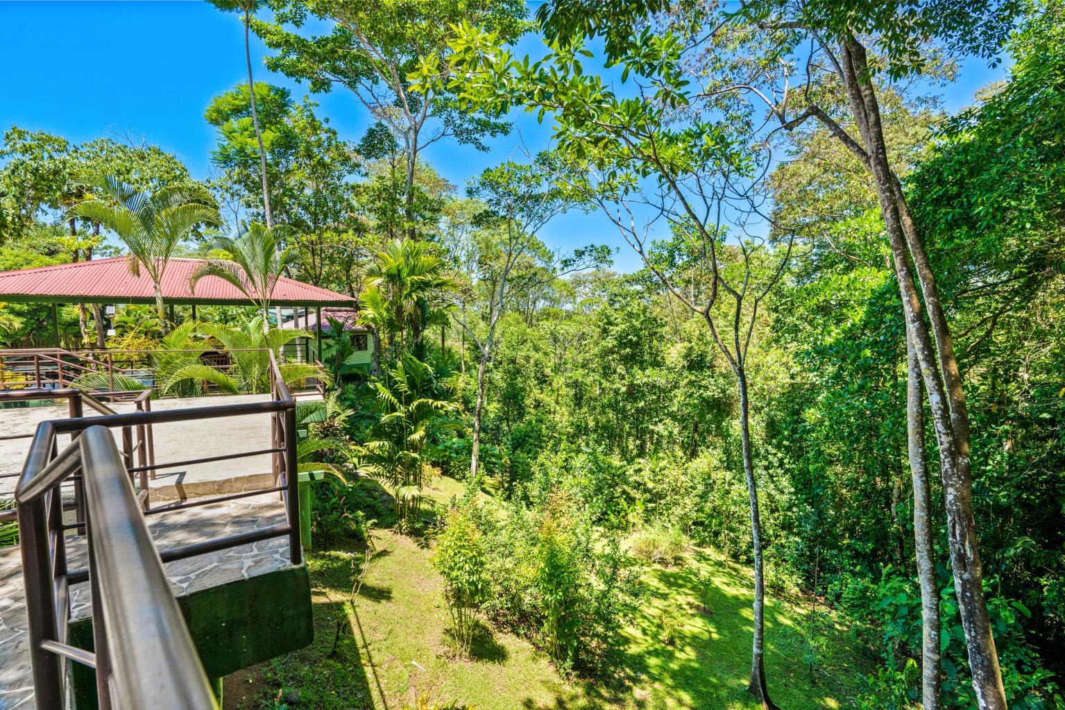 6 Beautiful Tree House Villas and Owners Home on Calle Toucan