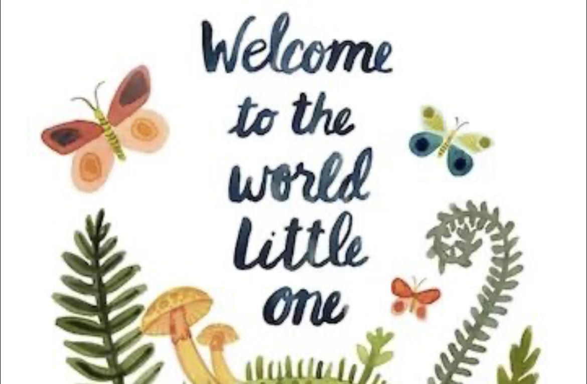 Company Culture and Welcoming a New Mini-Member to Our Team!