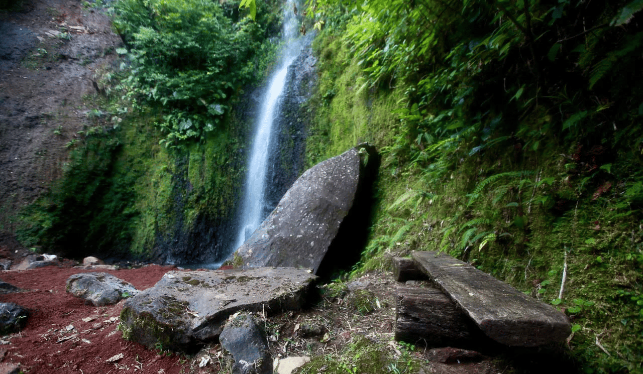 Waterfall Sanctuary with Hiking Trails