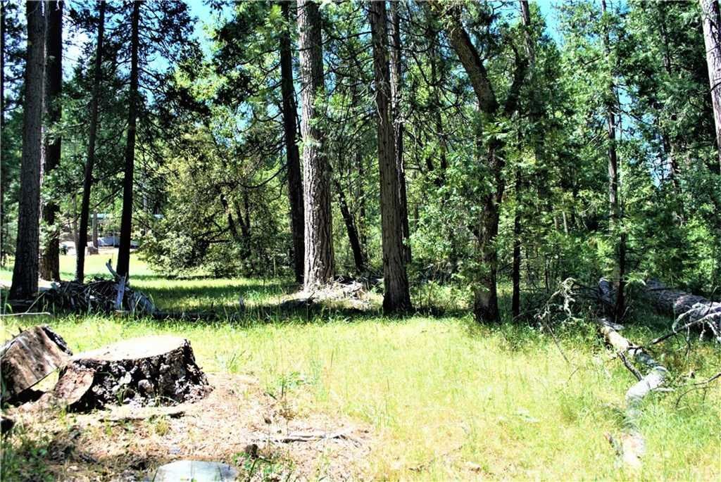 Finegold Creek Drive