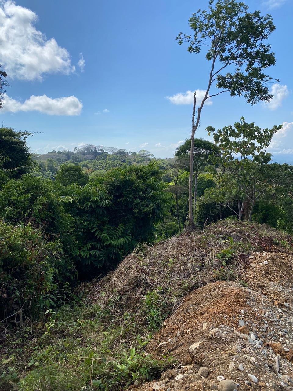 Stunning Ocean view & Mountain view property