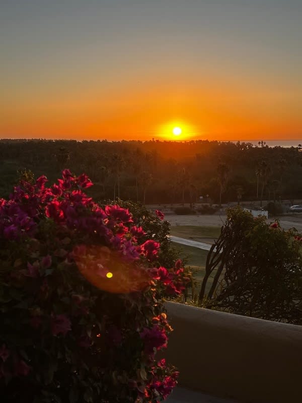 San Jose del Cabo condo!