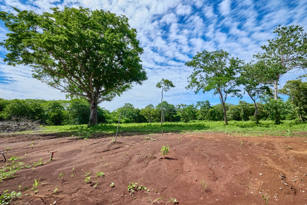 Gated Community Residential Acreage, Tamarindo, Guanacaste