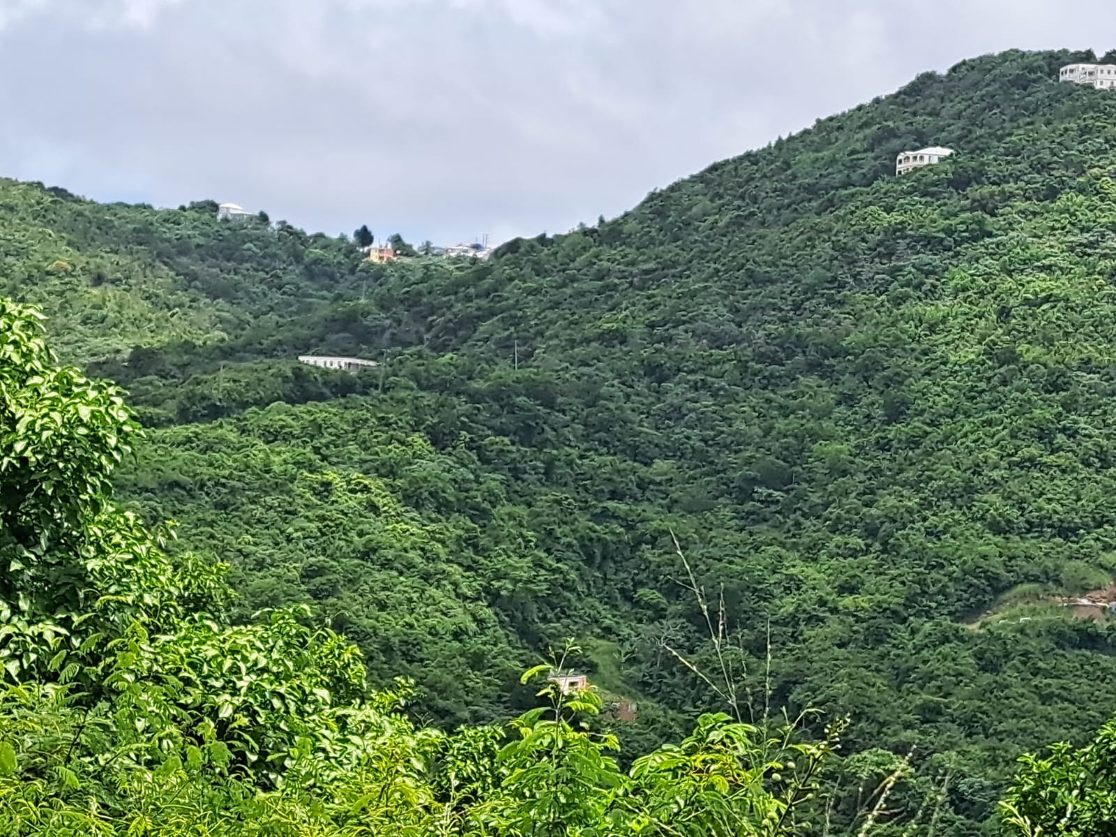 Cane Garden Bay (220)