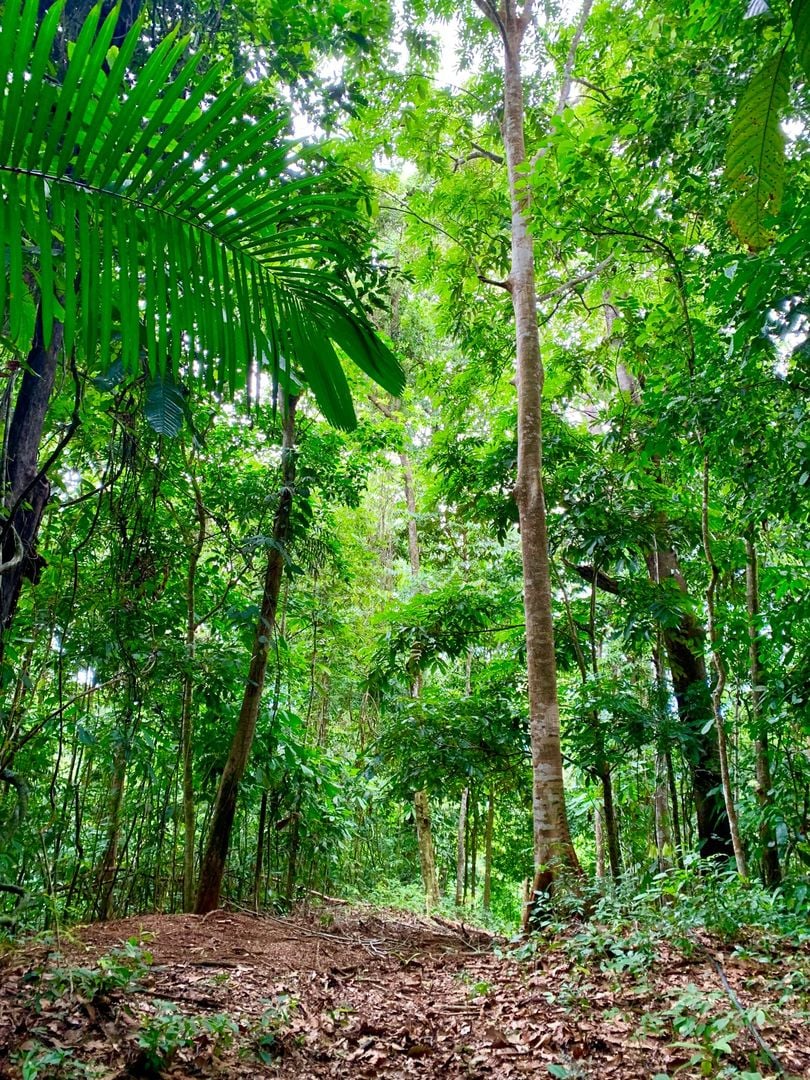 Triple Waterfall Ocean View Land, Dominical, Puntarenas