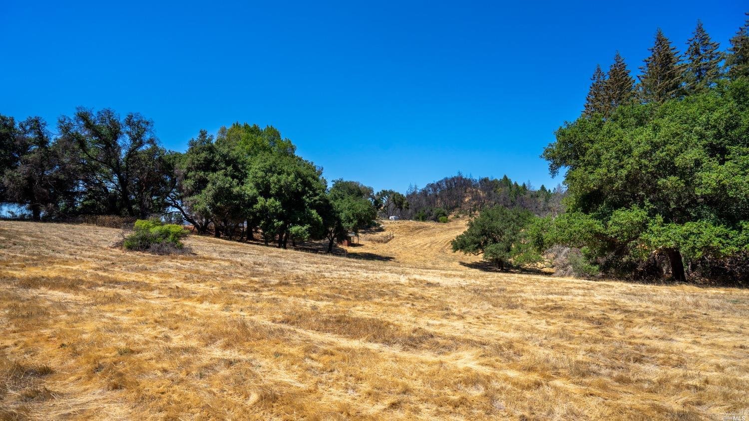 Wallace Creek Rd. 