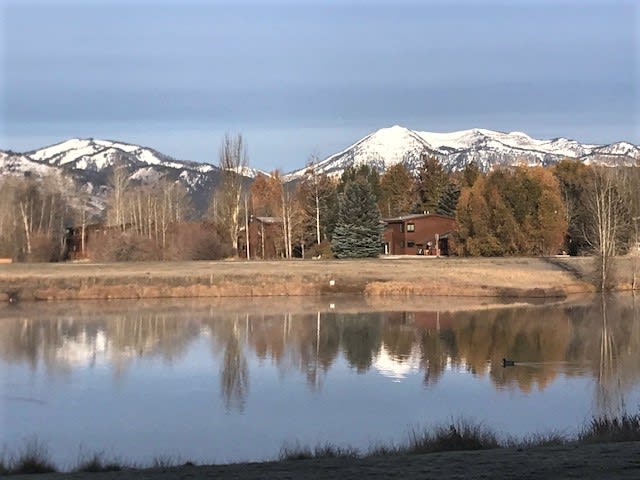 Cedarwoods Unit 402