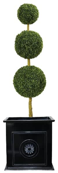 Curb Appeal: American Colonial