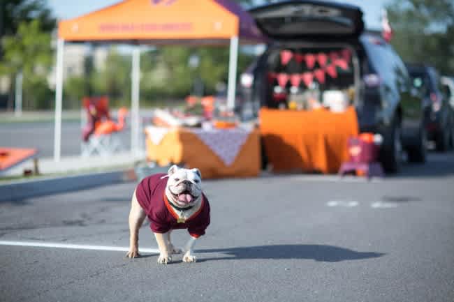Tailgate
