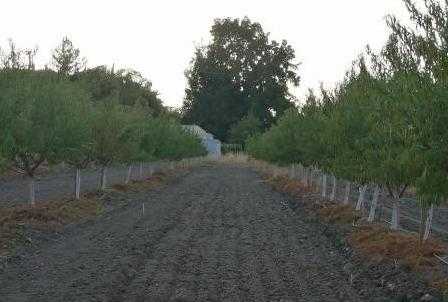 River Road