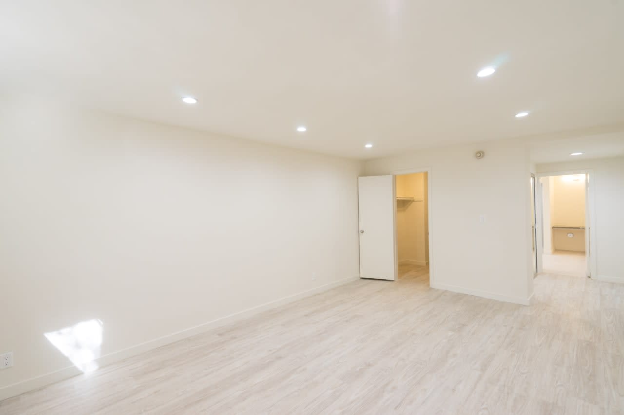 Bright and Open Maple Apartment