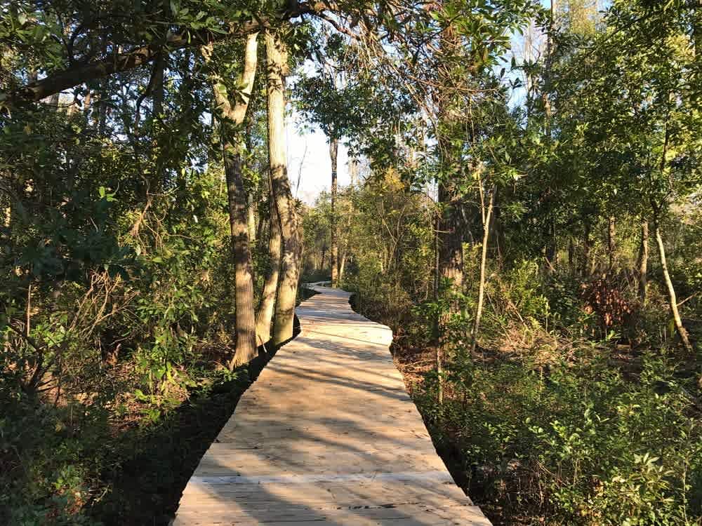 Cape Fear Resource Conservation and Development