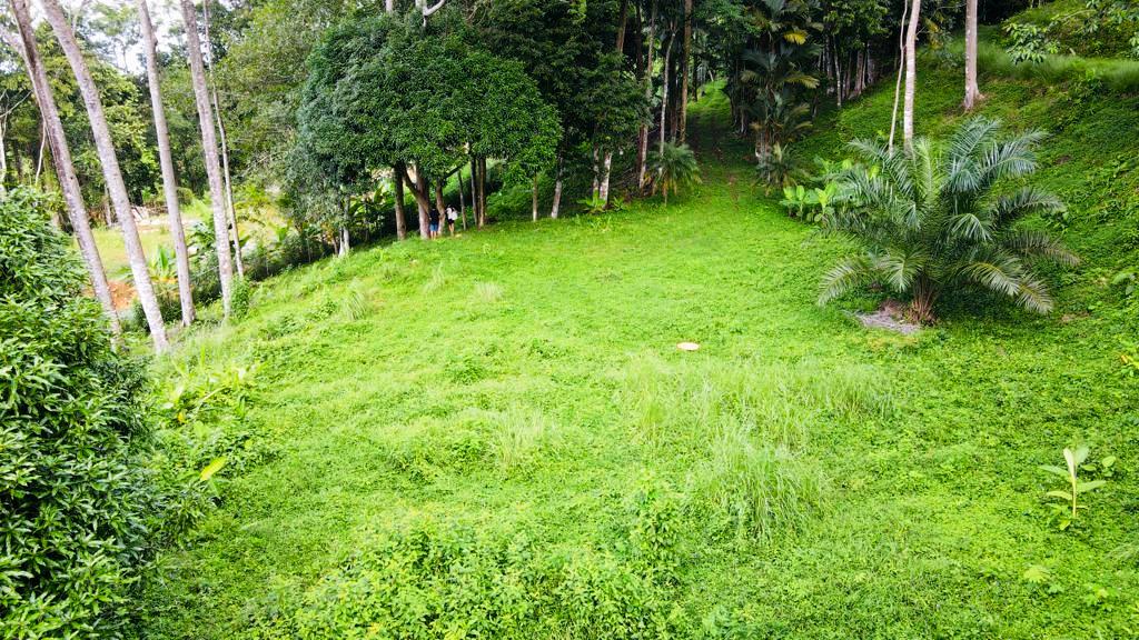 Gorgeous 1.43 Acres in Uvita Costa Rica Your Slice of Paradise Awaits