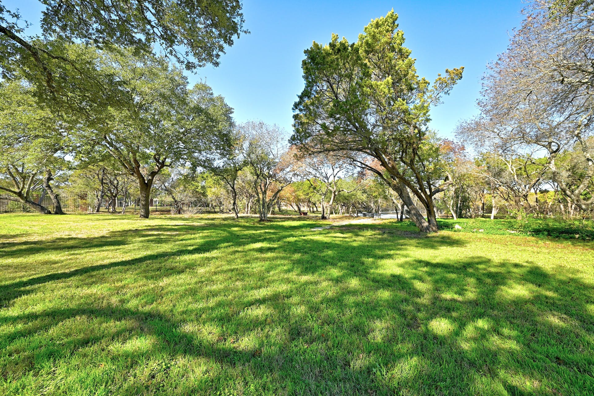 Barton Creek