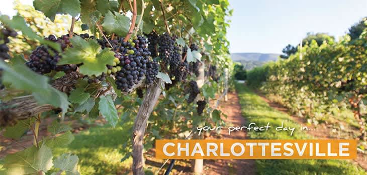 Your Perfect Day in Charlottesville – Morning