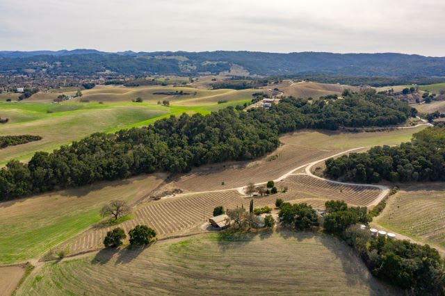 Iconic 24-Acre Vineyard Estate at 115 Booker Road Now Available for Purchase