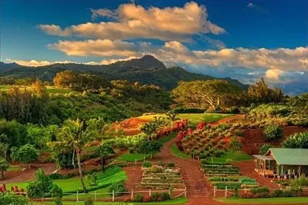 Kukui'ula 