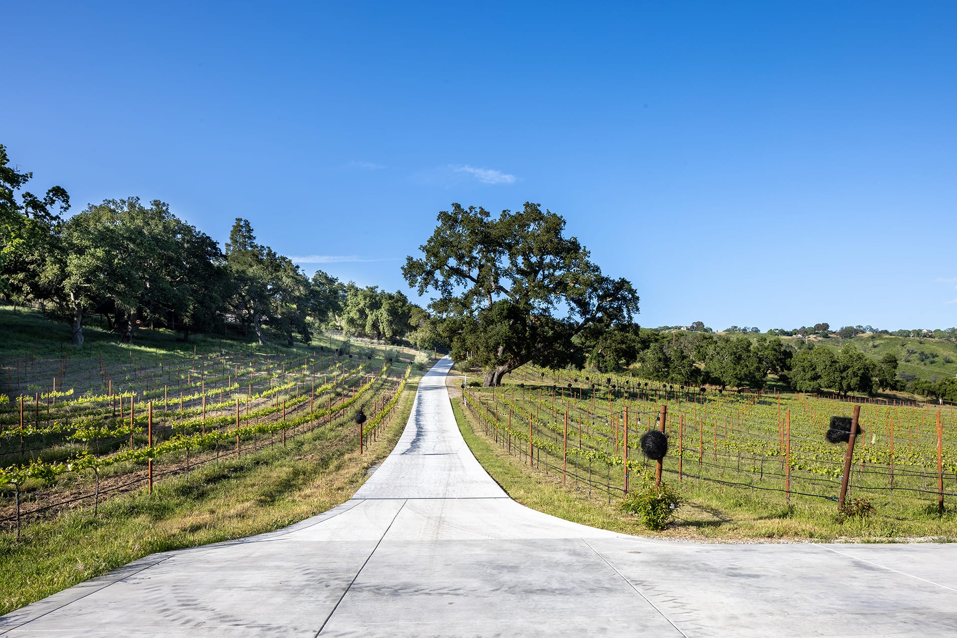 Wine Country Perfection - 17380 Cachagua Road