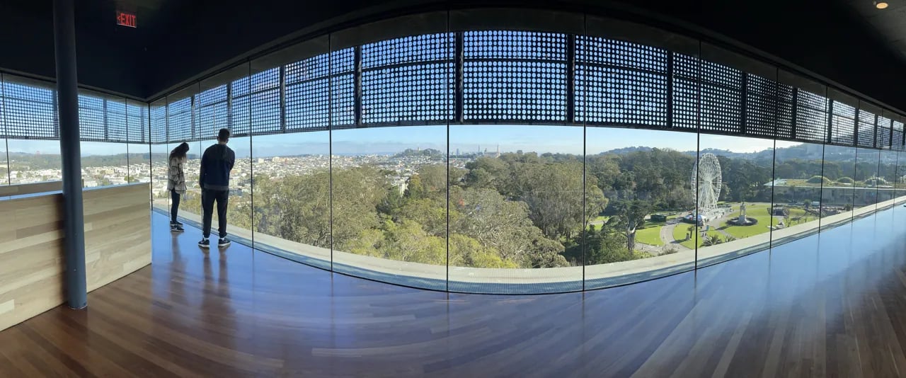 The de Young Museum Experience: San Francisco's Cultural Treasure at the Heart of Golden Gate Park