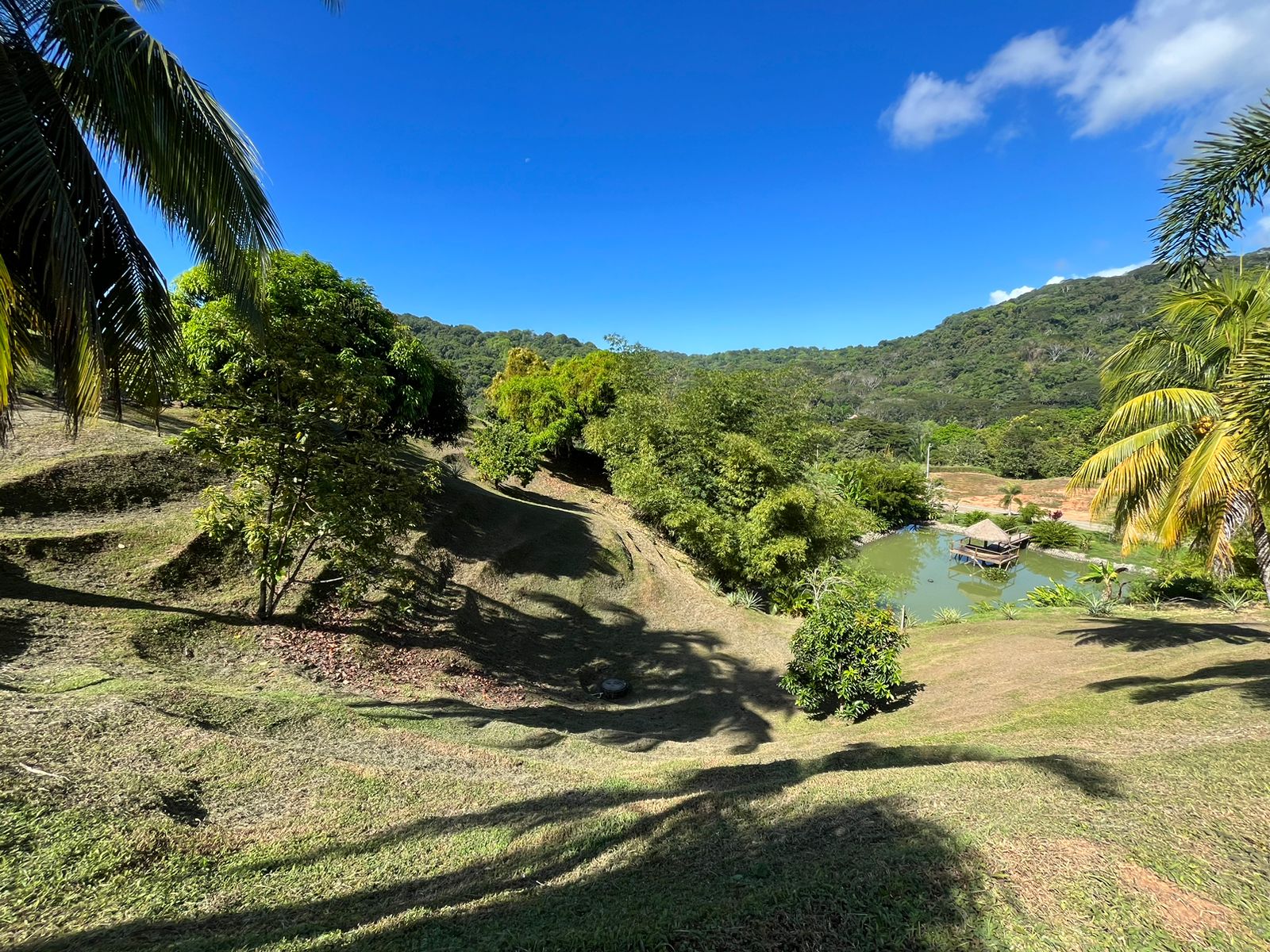 Cinematic Ocean&Mountain View Property In Vista Dominical Estate, Minutes From The Beach!