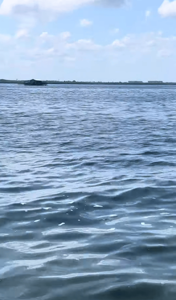 Stilt homes, offshore of Pasco county near the Pitlacoochee River