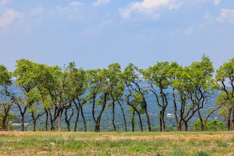5 Seven 2 Ranch