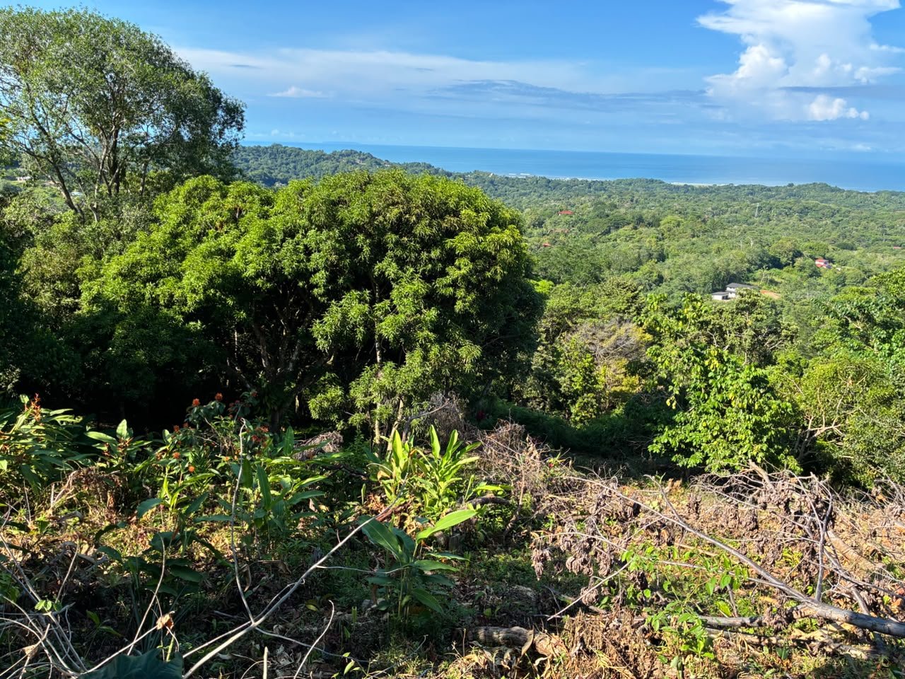 Beautiful Ocean View Lot in Ojochal Phase9