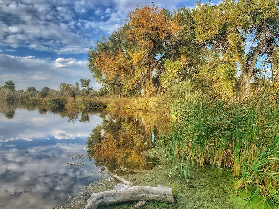 Fountain Creek Nature Center: A Must-Visit Outdoor Escape Near Colorado Springs