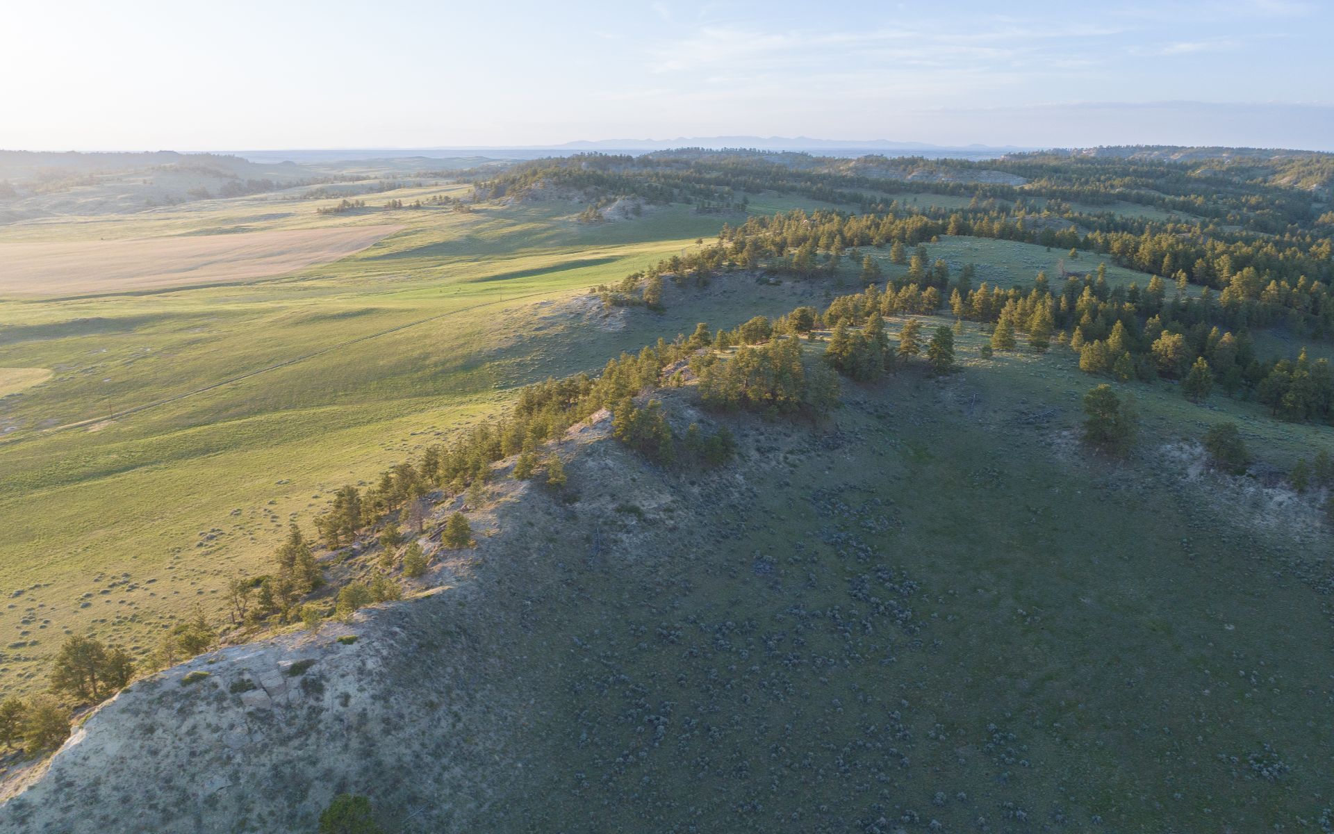 Elk Rich Ranch