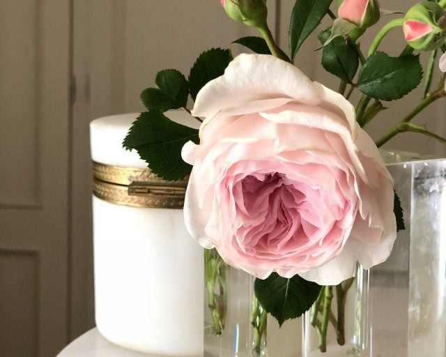 Beautiful Blooms: How to Plant a Cutting Garden