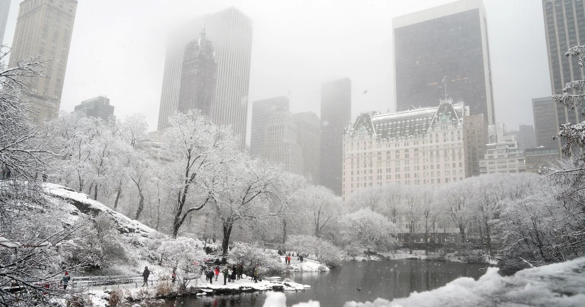 Manhattan Luxury Report: January 19, 2026 - January 25, 2026