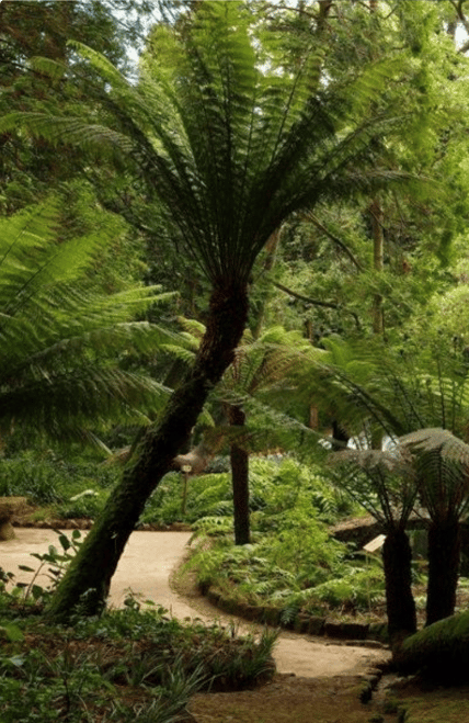 Villa D'águeda | Historic Palace with Approved Luxury Projects in the Heart of Sintra